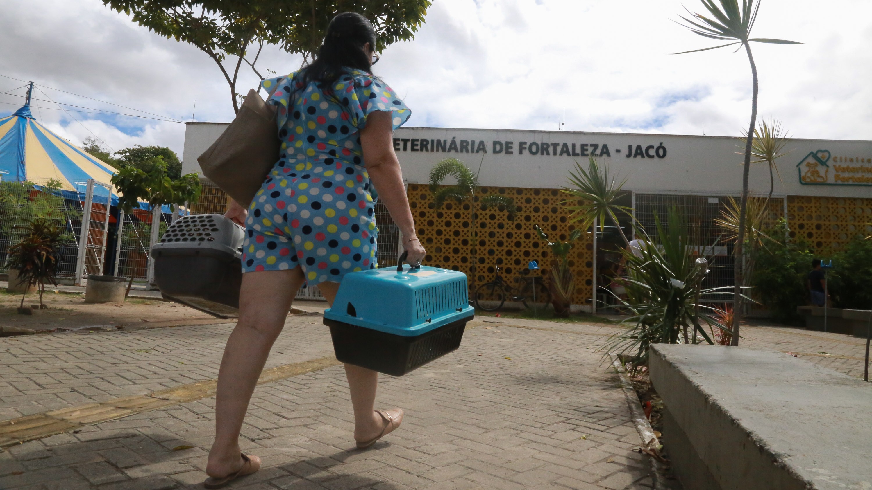 mulher caminhando com duas caixas de transporte na frente da clínica veterinária Jacó